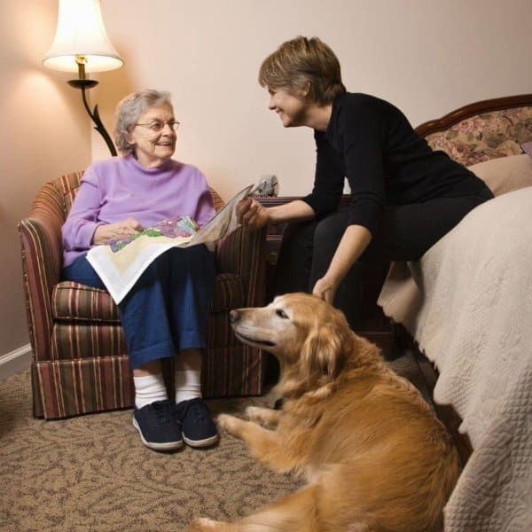 old_woman_caregiver_and_mobility_assistance_dog.jpeg