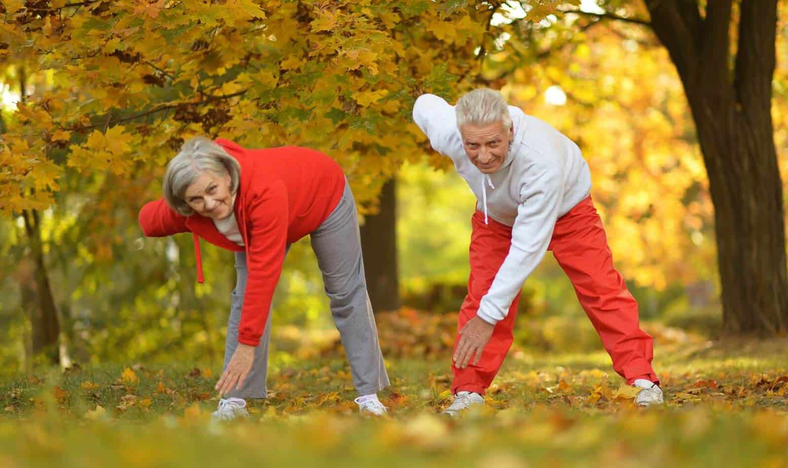 Couple exercising in the park using some posture exercises for seniors