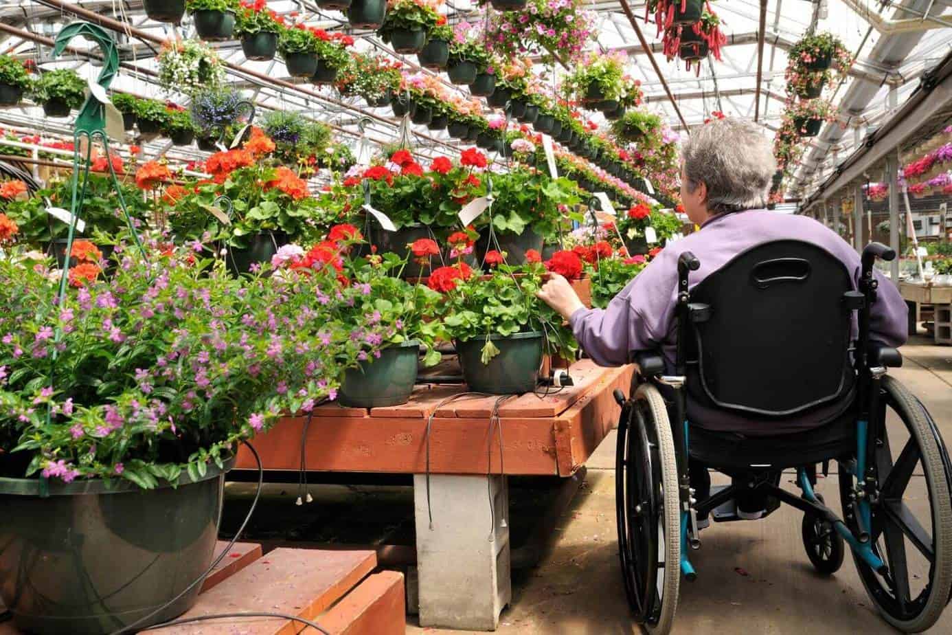 a senior lady in a wheelchair picking flowers