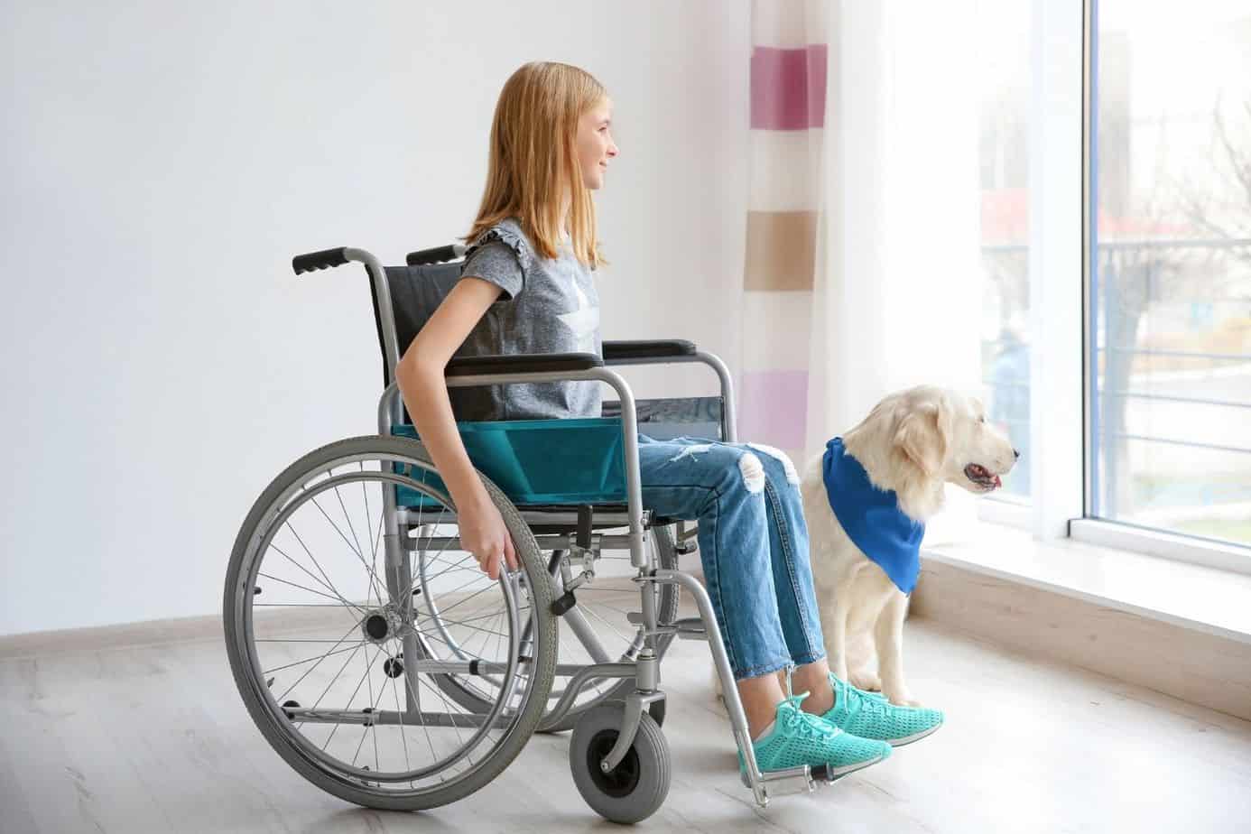 teenager kid in a wheelchair with her white dog