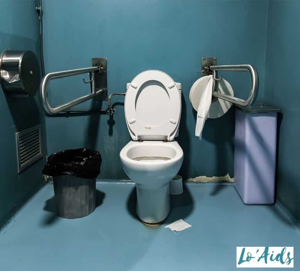 wheelchair accessible toilet