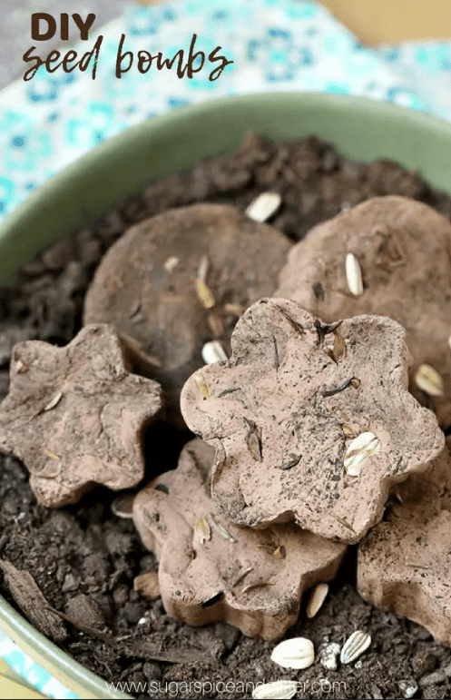 Explosive DIY Seed Bombs