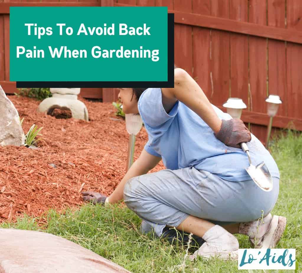 Tips to avoid back pain when gardeing